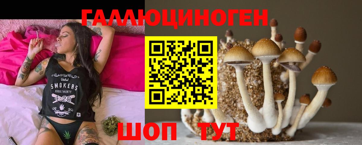 Псилоцибиновые грибы GOLDEN TEACHER  Вход с VPN  где купить наркоту  Сертолово 